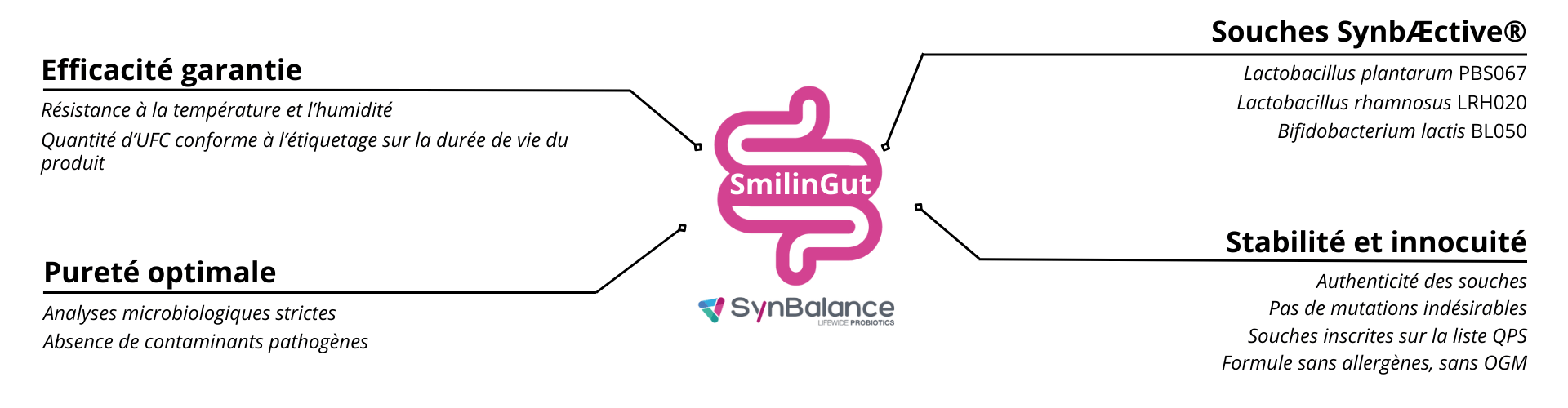 Les atouts de SmilinGUT